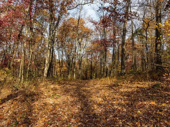 17062 Post Boy Rd SW, Newcomerstown, OH 43832