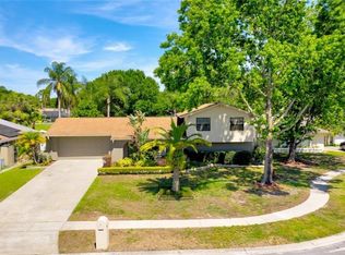 15805 Ironware Pl, Tampa, FL 33624