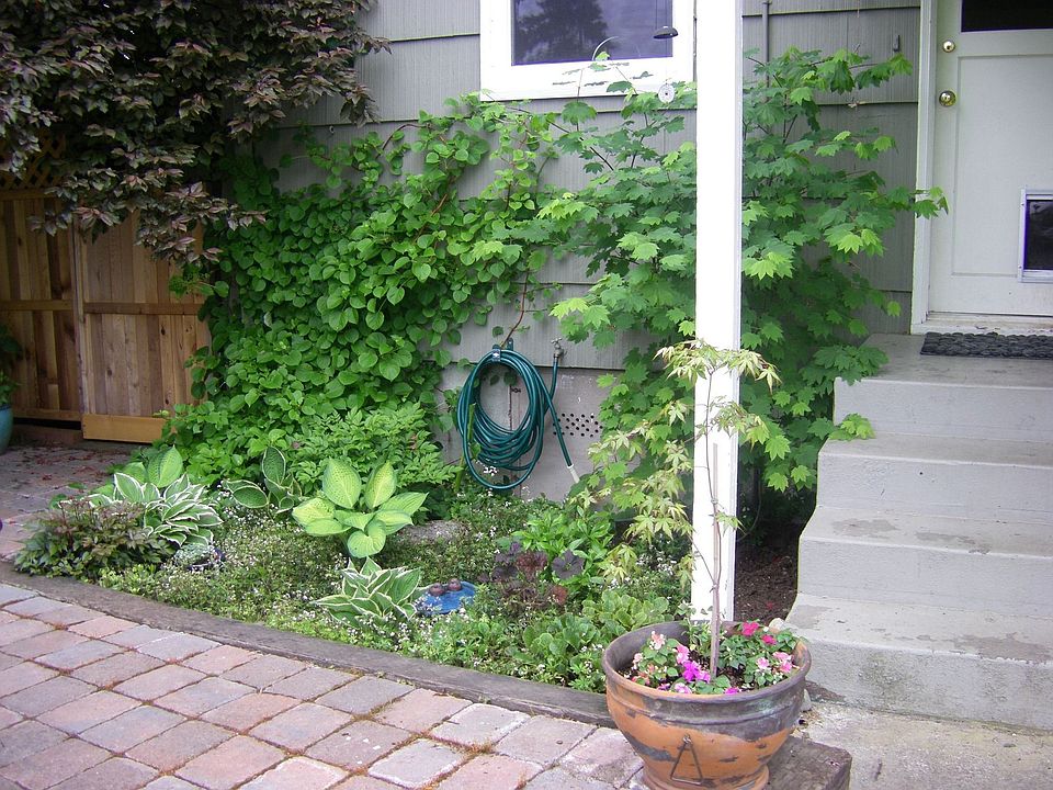 Shade Garden and Patio