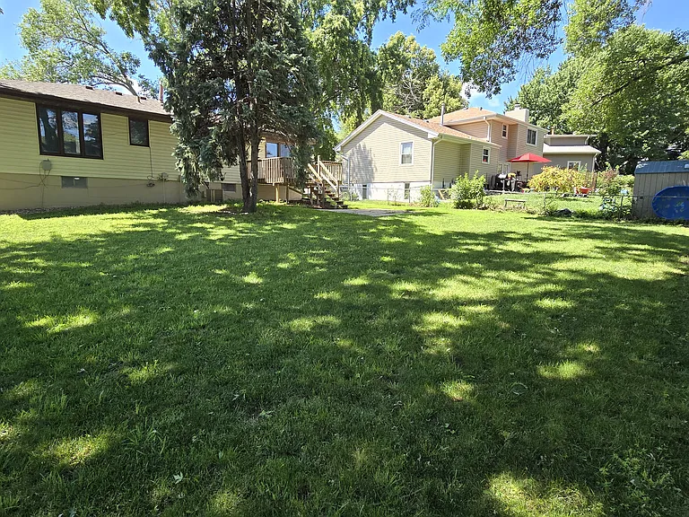 Back yard