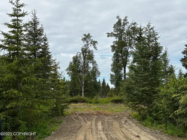 L1-B2 Twilight St, Ninilchik, AK 99639
