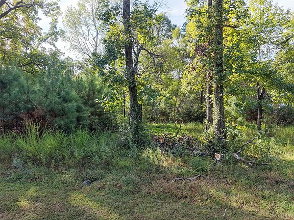 5th image of 562 Magnolia Park