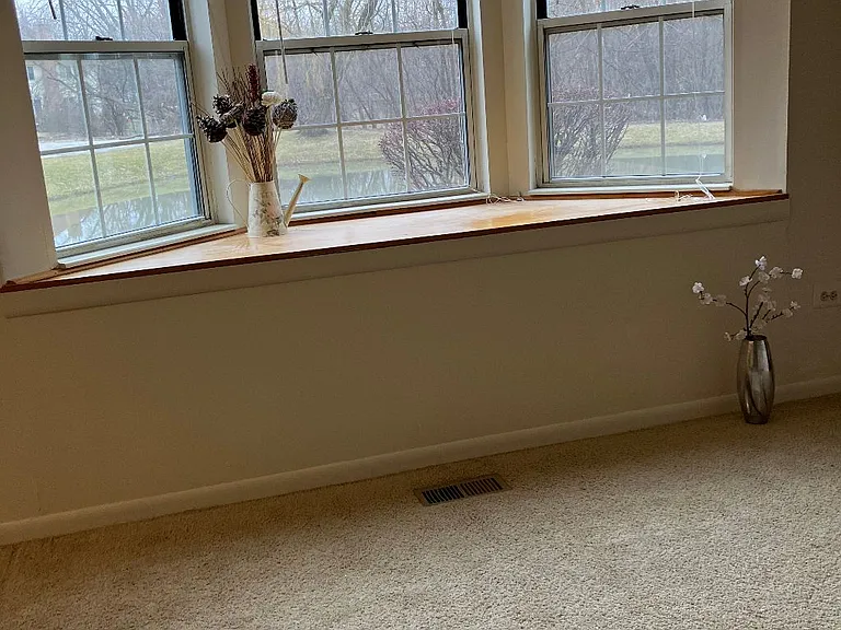 Bay window facing pond