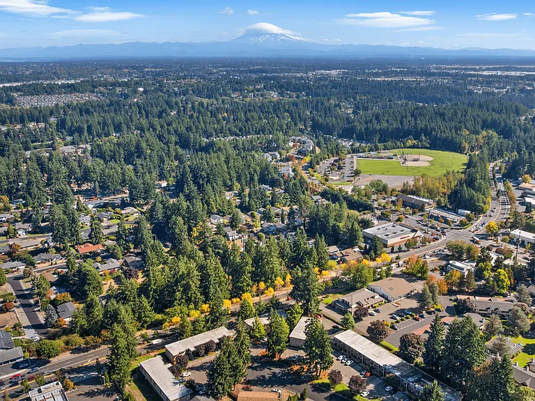 Breathtaking views of Mount Rainier and the Pacific Northwest landscape.