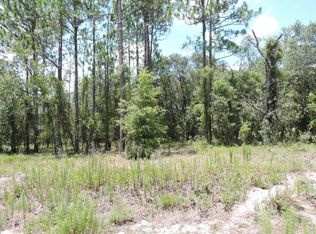 23621 NW Falcon Ave, Dunnellon, FL 34431