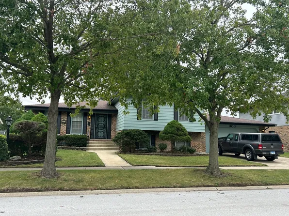 303 S University Ave, Glenwood, IL 60425