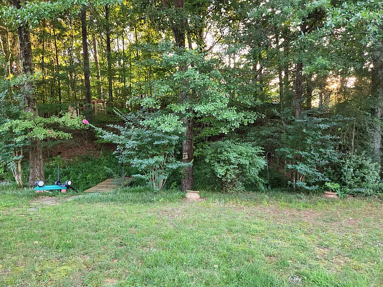 back yard up hill.