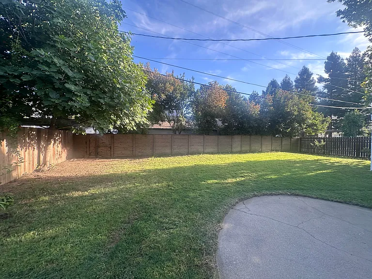 Backyard Lawn