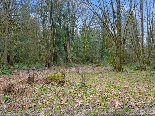 7738 Maple Drive, Maple Falls, WA 98266