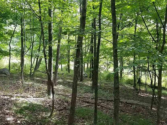 4th image of 36-44 Black Hawk Trail