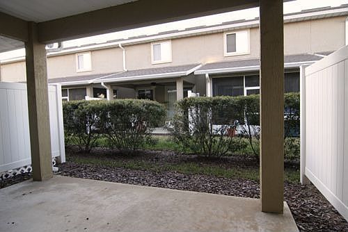 View to Backyard