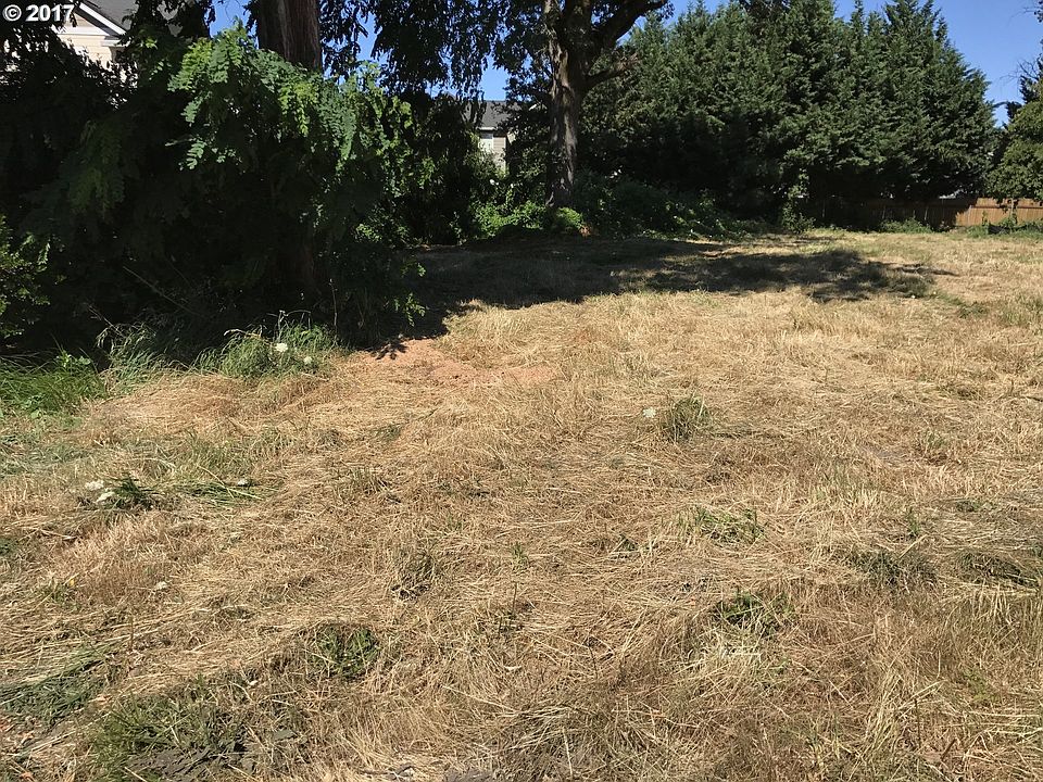 2nd image of 203 Tsugawa Ct