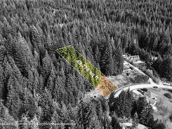 4th image of 27629 128th Ave