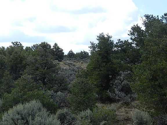 4th image of 18934 Mountain View Trl