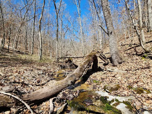 0 Skylark Road, Washburn, MO 65772