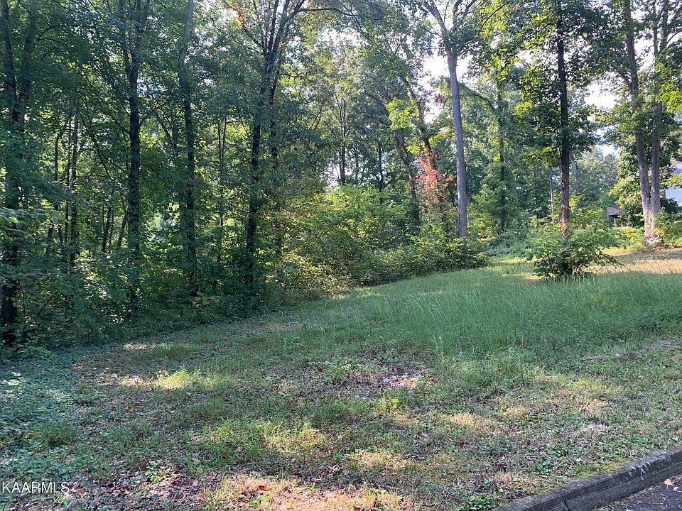 2nd image of Crickett Dr