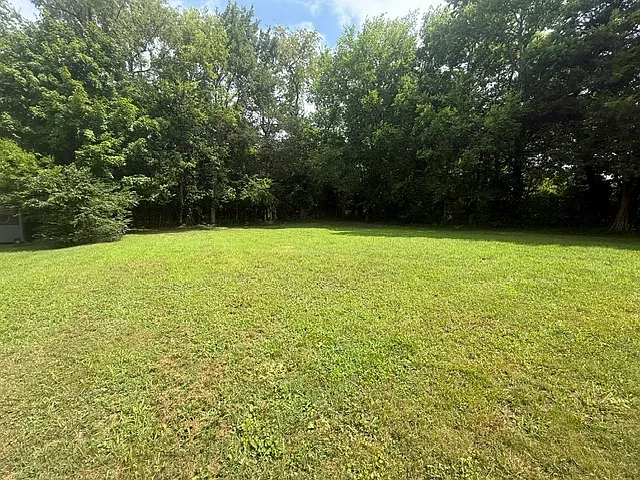 113 Lackey Ln — Photo 8