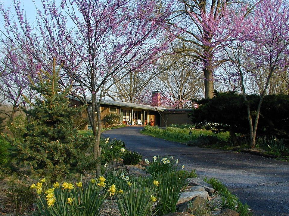 Perrenial Blooms abundant