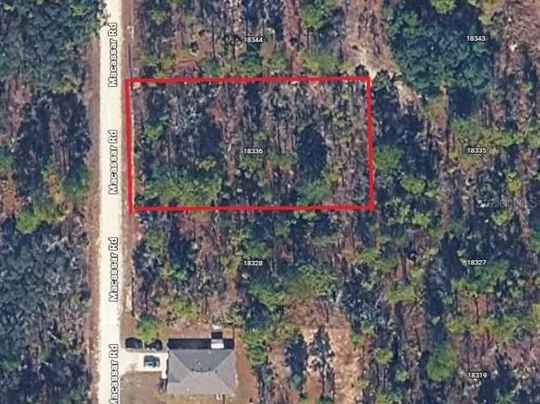 18336 Macassar Rd Lot 8, Brooksville, FL 34614