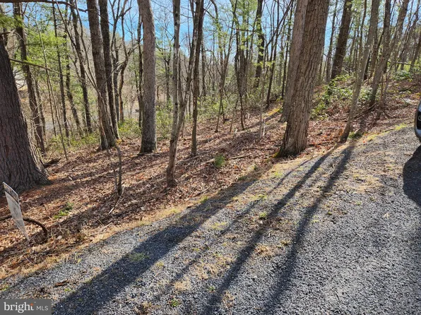 Moccasin Way, Basye, VA 22810