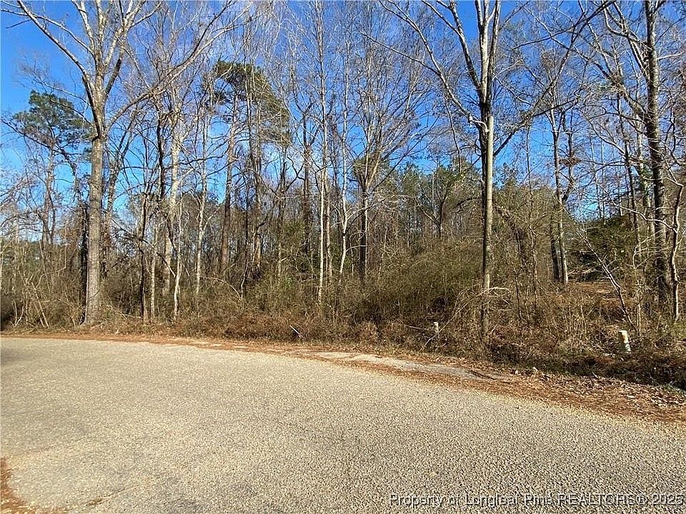 2nd image of McIntyre Land