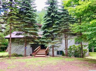 97 Magda Ln, Ashland, NY 12407