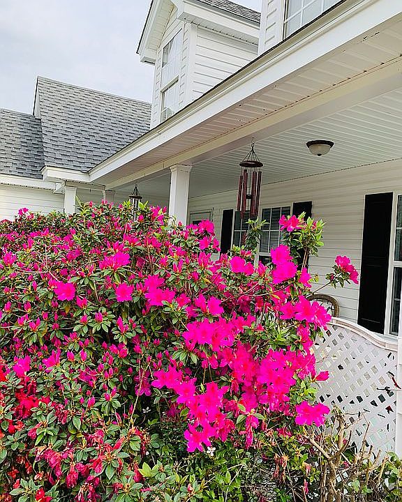 Private fenced in yard