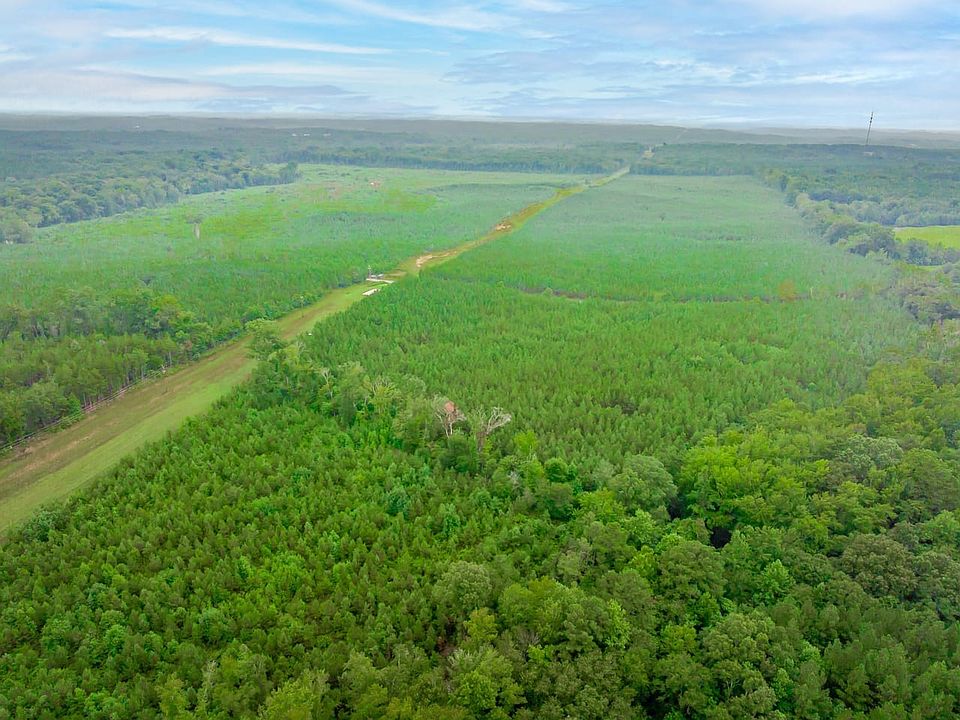 1st image of Humpback Bridge Rd