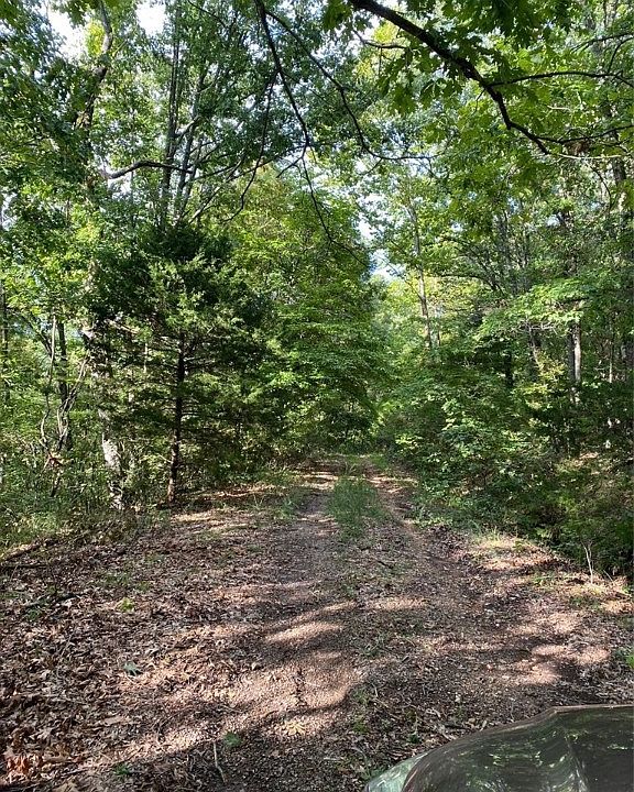 1st image of Kent Ln #5