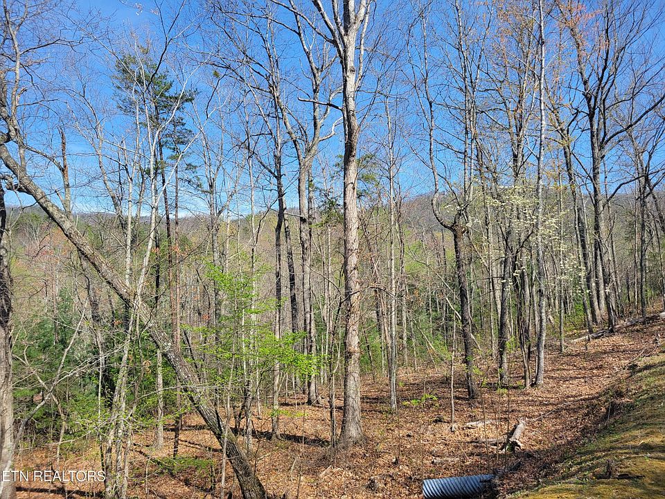 1st image of 10 Black Oak Dr Lot 10