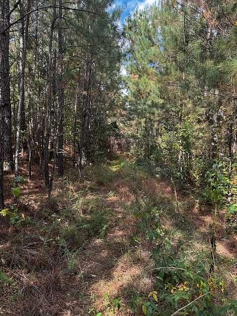 1st image of 230 Dodgen Rd