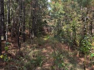 230 Dodgen Rd, Hampton, GA 30228