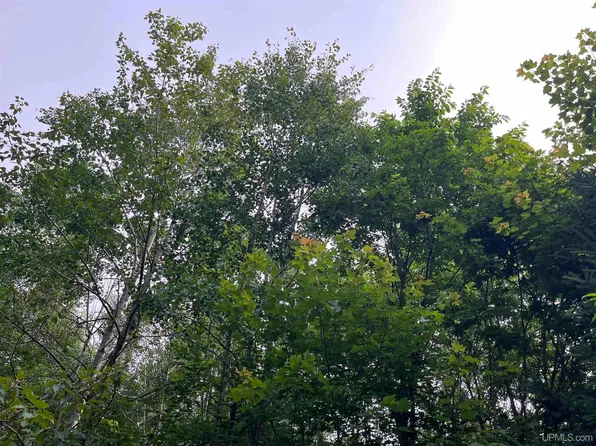 McAfee Rd, Chatham, MI 49816