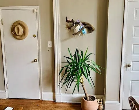 1 bed, $1,450 — Photo 2