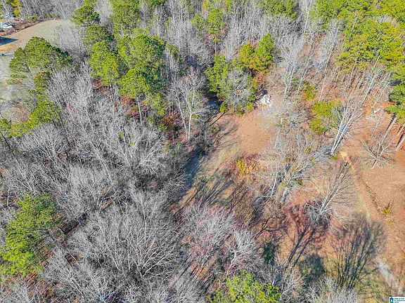 2nd image of 40 County Road 566 #1