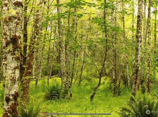 0 Lexington Pl N, Quilcene, WA 98376