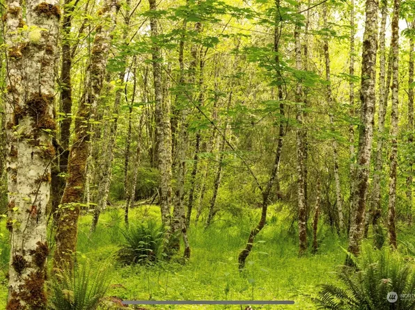 0 Lexington Place N, Quilcene, WA 98376