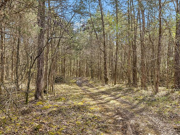 2nd image of 7 Paschal Rd