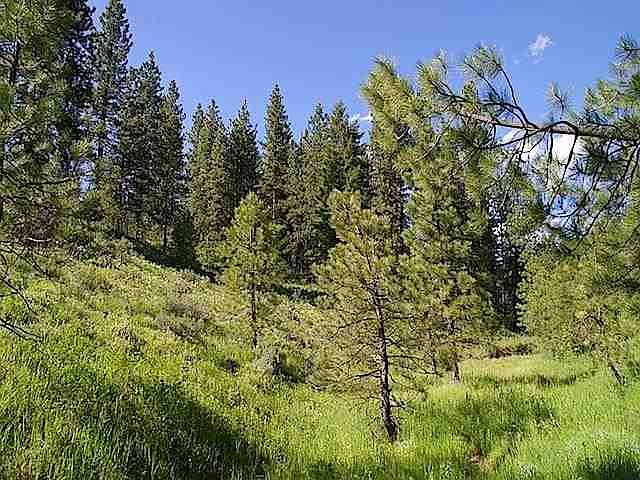 2nd image of Tbd Burch Ln