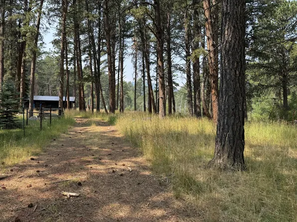 18 Ealy St, Story, WY 82842