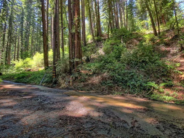 154 Leafwood Dr, Boulder Creek, CA 95006