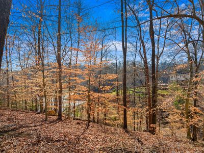 LOT 2 Persimmon Orchard Dr, Dandridge, TN, 37725