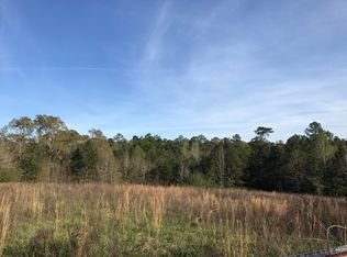 305 Acres Burgetown Rd, Carriere, MS 39426