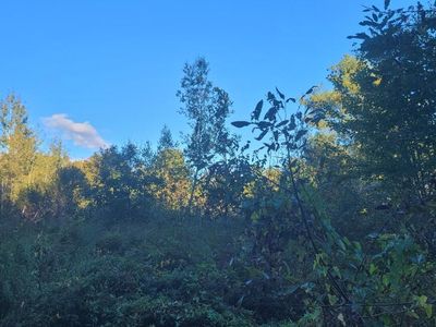 36D Thomes Way, Cumberland Center, ME, 04021