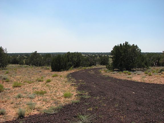 3rd image of 2051 Highline Dr Lot 55
