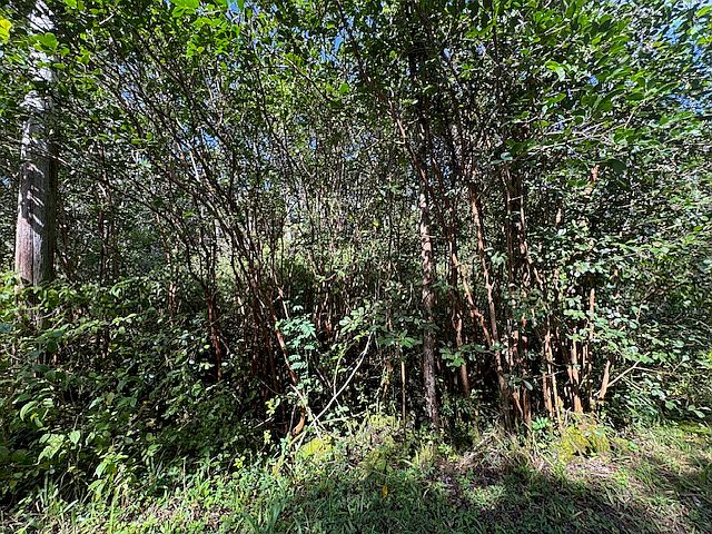 1st image of Puna St Lot 588