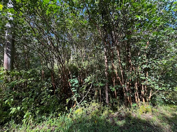 Puna St Lot 588, Pahoa, HI 96778
