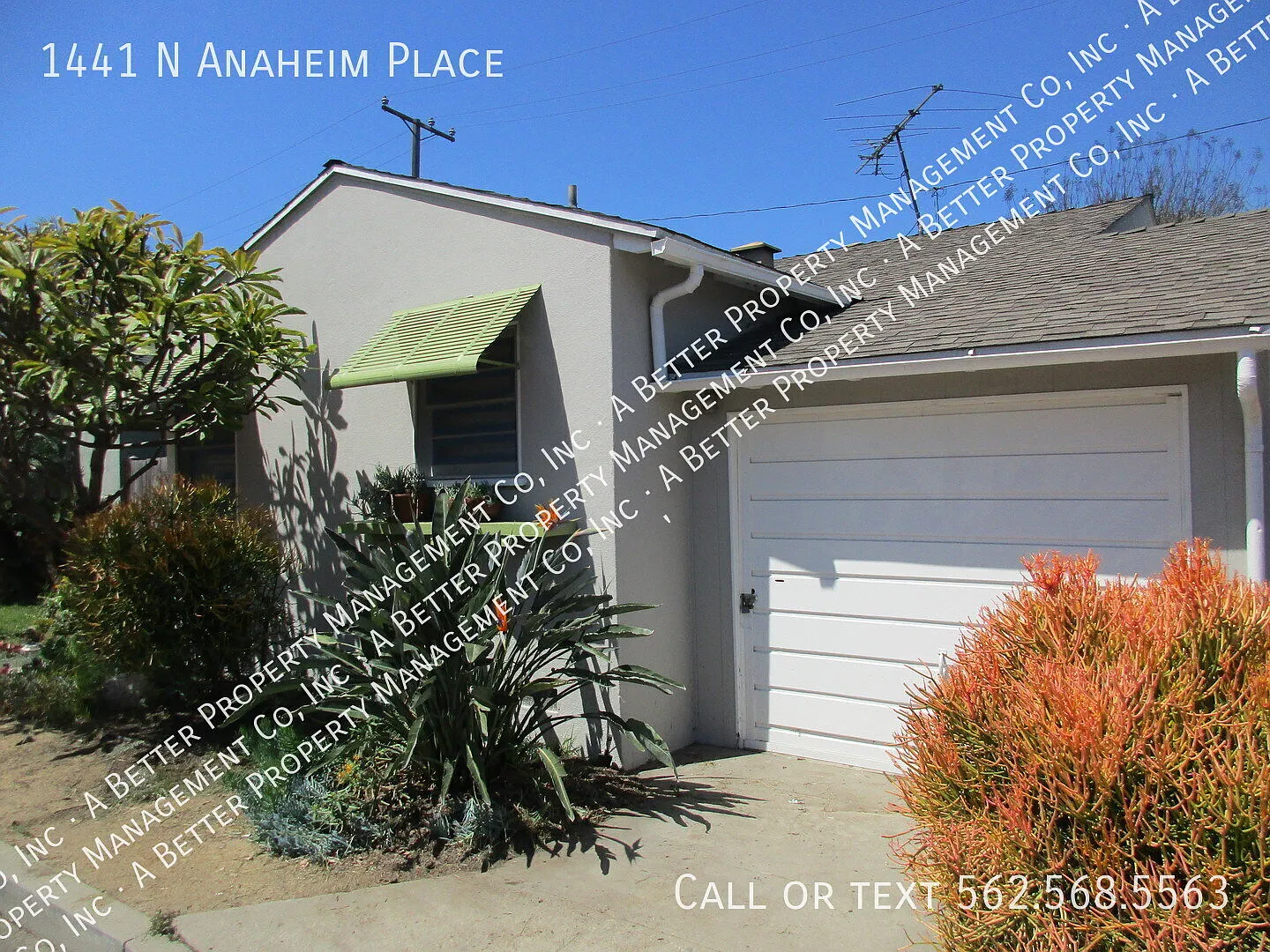 Circle Area 2 Bedroom 1 Bath House with Hardwood Floors, Garage & Yard! — Photo 2