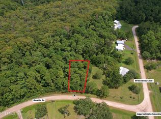 114 BOWFIN Drive, Satsuma, FL 32189