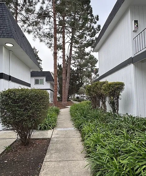 Silicon Valley Apartments — Photo 15
